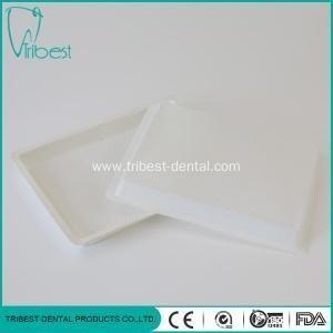Wholesale 20.6x15.5cm Dental Plastic Tray Inside Unseparated Spot Surface from china suppliers