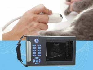 Wholesale Full Digital B/W Ultrasound System Handheld can for vet and human from china suppliers