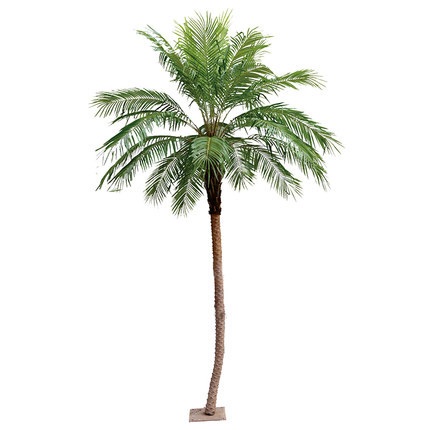 Wholesale Nordic Retro Bionic Tropical Phoenix Palm Tree Floor Green Hotel Decor from china suppliers