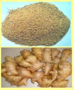 Wholesale DRIED GINGER GRANULES 20-40MESH from china suppliers