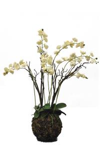 Wholesale Custom Color 117cm Artificial Orchids For Table Simulated From European Orchid from china suppliers