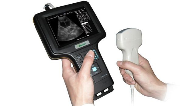 Wholesale Waterproof Portabl Handheld vet Veterinary Ultrasound Scanner machine from china suppliers