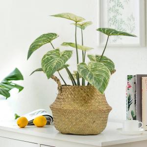 Wholesale Ornamental Small Items Artificial Potted Floor Plants Philodendron Birkin from china suppliers