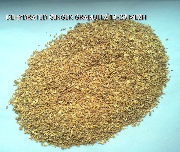 Dehydrated ginger granules16-26mesh,natural orgnic ginger products,GRADE A