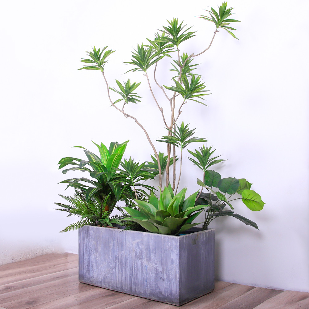 Wholesale Natural Wood Artificial Landscape Trees Lily Bamaboo For Home Decor Evergreen No Water from china suppliers