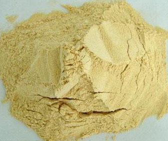 Wholesale White Feed Grade Dehydrated Garlic Powder No. SDV-GARP from china suppliers