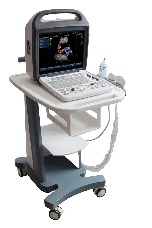 Wholesale Ultrasound Color Doppler Portable Color Doppler System new types ultrasound transducers from china suppliers