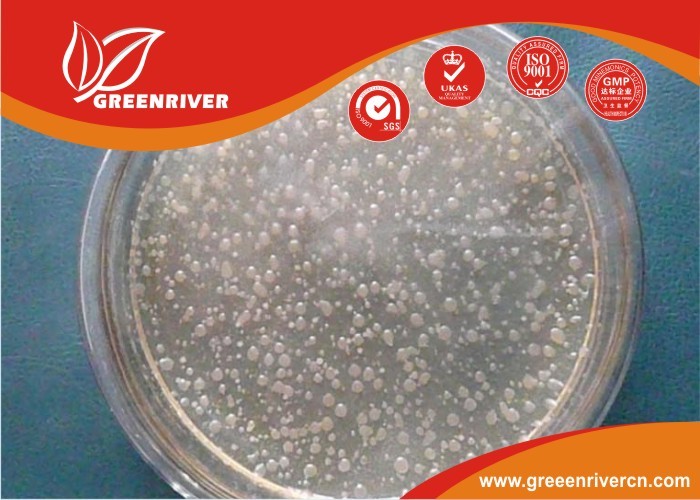 Wholesale Bacillus sphaericus mosquito larvae insecticide / Powder Pesticides On Vegetables from china suppliers