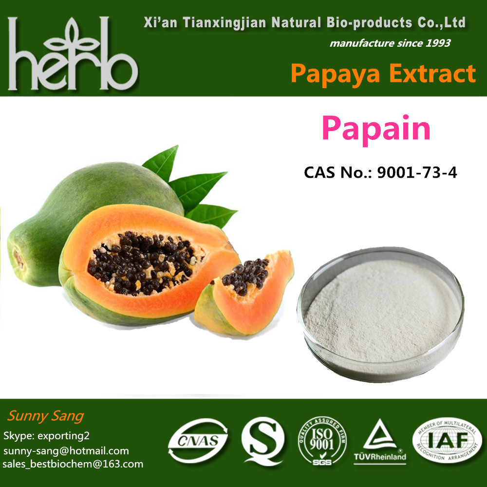 Wholesale Papain from china suppliers
