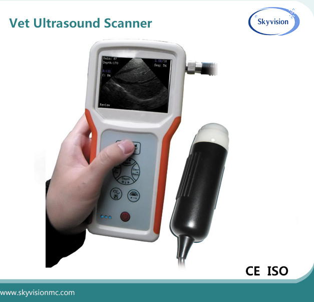 Wholesale mini ultrasound portable made in China ultrasound veterinary from china suppliers