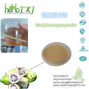 Wholesale Noni juice powder from china suppliers
