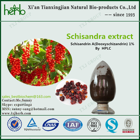Wholesale Schisandra chinensis P.E. from china suppliers