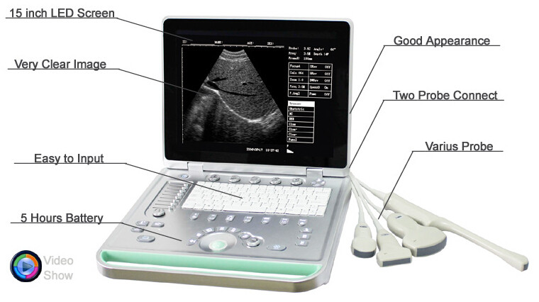 Wholesale 15 " LCD Screen Portable Ultrasound Device Digital High Resolution from china suppliers