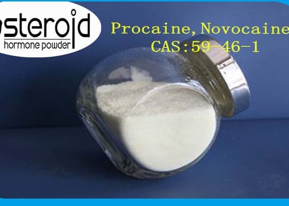 Wholesale Local Anesthetic Drugs Procaine CAS 59-46-1 Novocaine Pharma Raw Materials from china suppliers