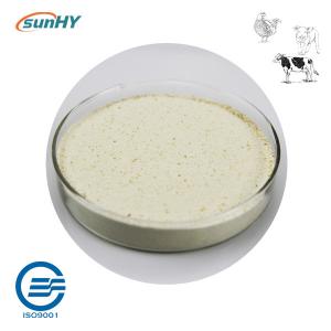Wholesale Sunhy clostridium butyricum can contribute to improving the intestinal health and growth performance of animals from china suppliers