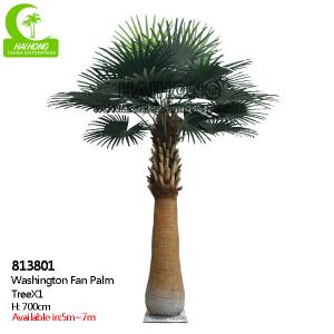 Wholesale UV Resistance H700cm Artificial Tropical Tree , Fake Palm Plant Indoor from china suppliers