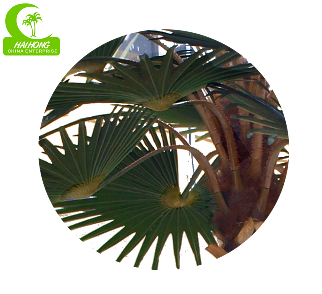 8m lifelike artificial plant artificial palm tree for hot sale