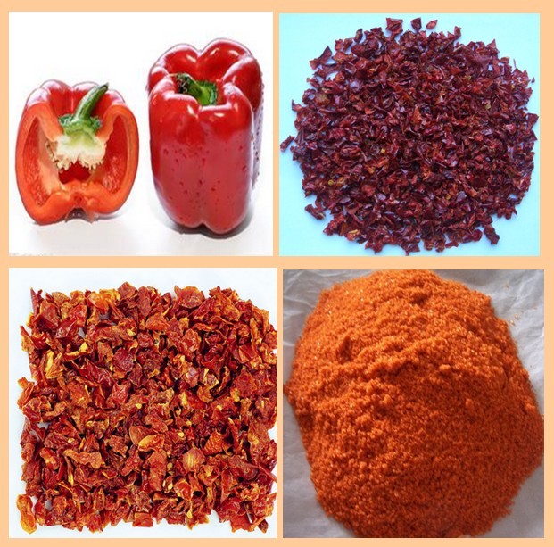 Wholesale DRIED RED BELL PEPPER POWDER from china suppliers