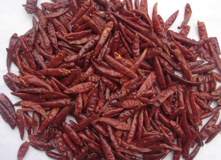 Wholesale DRY CHAOTIAN CHILLI from china suppliers