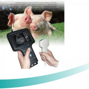 Wholesale Vet Handheld Ultrasound Waterproof 7 inch TFT screen Veterinary Ultrasound Scanner  for sheep, goat, horse, dog vet ultr from china suppliers
