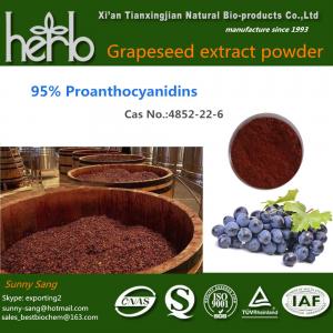 Wholesale Grape Seed Extract from china suppliers
