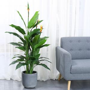 Wholesale Anti UV Artificial Landscape Trees Paradise Bird Indoor Decor Natural Look Evergreen Plant from china suppliers