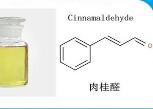 Wholesale CAS 104-55-2 Local Anesthetics Drugs 99% Cinnamaldehyde Yellowish Oil For Sterilization from china suppliers