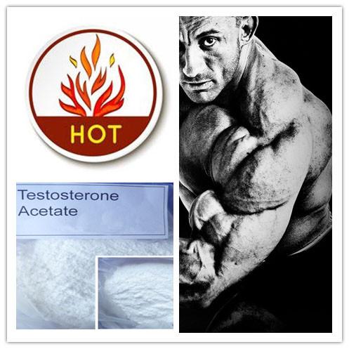 Testosterone acetate steroids