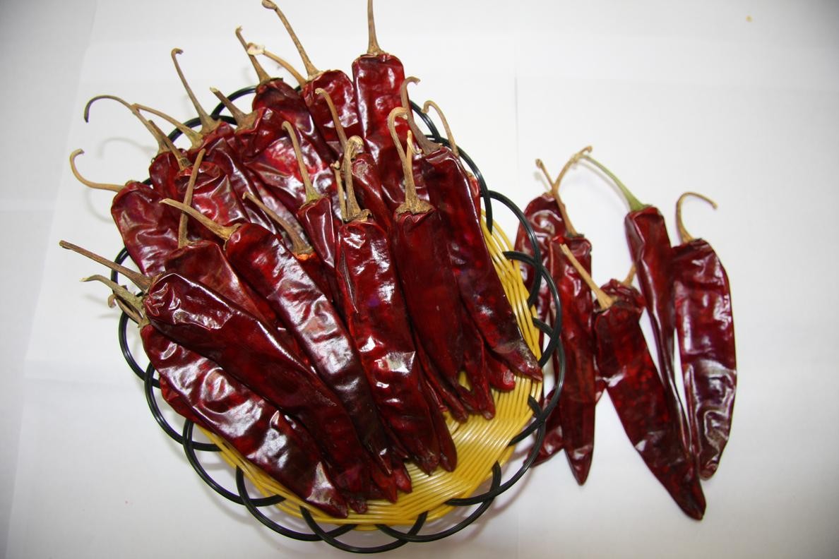 Wholesale JINTA CHILLI from china suppliers