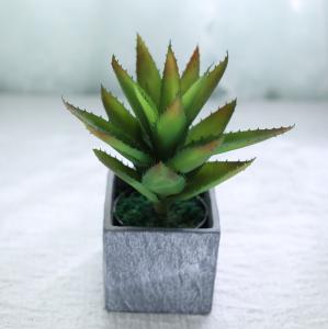 Wholesale Artificial Simulated Ornament Aloe Vera Plant Potted Indoor Bonsai Table Decoration from china suppliers