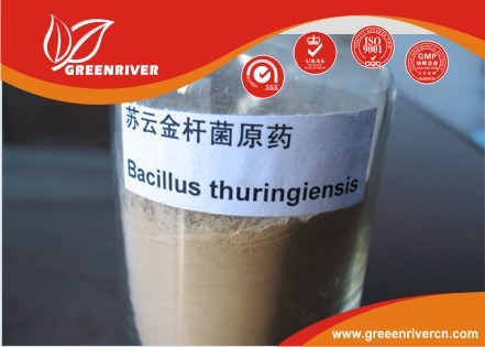 Wholesale White powder Bacillus thuringiensis Insecticide for lepidopterous larvae control from china suppliers