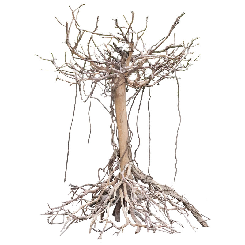Wholesale Lifelike Fiberglass Dry Tree Trunk Custom Props Retro Style Planting Decoration from china suppliers