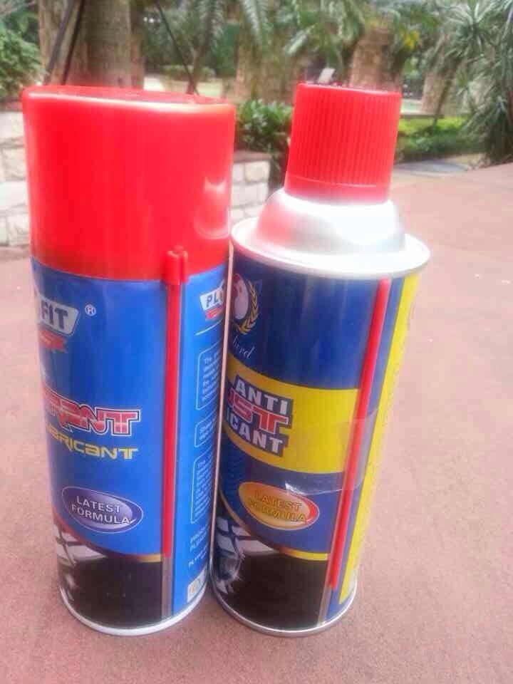 Wholesale REACH 400ml 450ml Anti Rust Lubricant Spray For Car Care Detailing from china suppliers