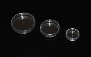Wholesale Laboratory Plastic Culture Dish Round Shape from china suppliers