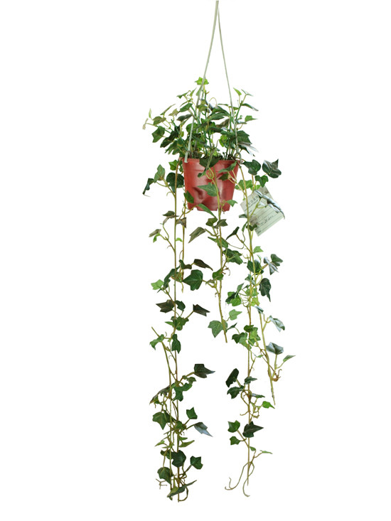 Wholesale Durable H70cm Artificial Vine Plant , Fake Hanging Vines Indoor Outdoor from china suppliers