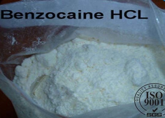 Wholesale Benzocaine Hydrochloride Powder Pain Killer Drug CAS 23239-88-5 GMP Certification from china suppliers