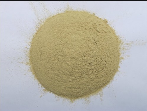 Wholesale DRIED YELLOW ONION POWDER 100-120MESH from china suppliers