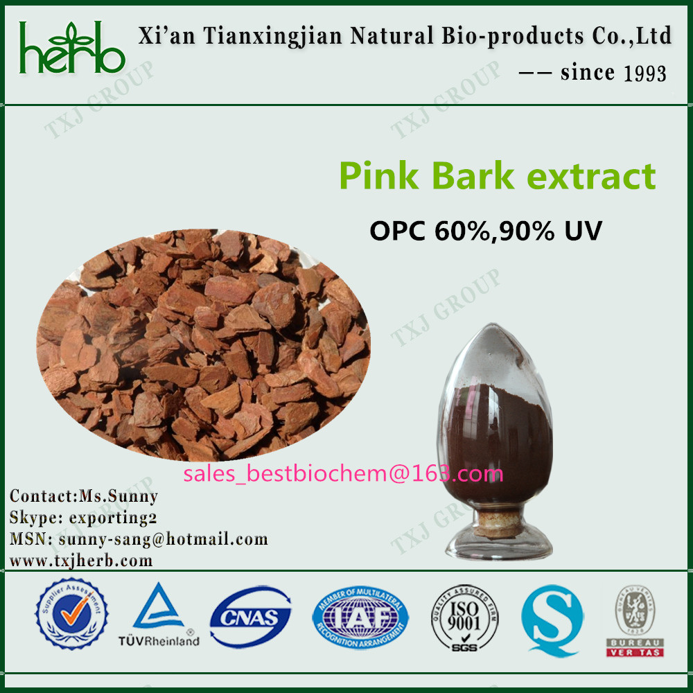 Wholesale Pinus pinaster Pink Bark Extract from china suppliers