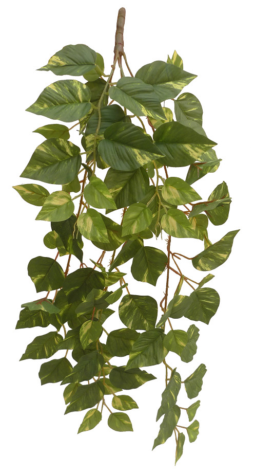 Wholesale All Season 5pcs 80cm Height Artificial Vine Plant With 88pcs Leaves from china suppliers