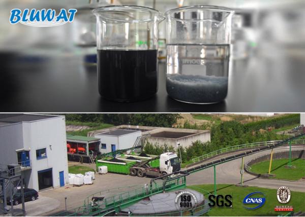 High Molecular Weight Anionic Polyacrylamide for Egypte Water Treatment Flocculant