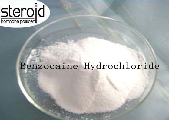 Wholesale CAS 23239-88-5 Local Anesthetic Drugs Benzocaine Hydrochloride For Skin Abrasions / Hemorrhoids from china suppliers