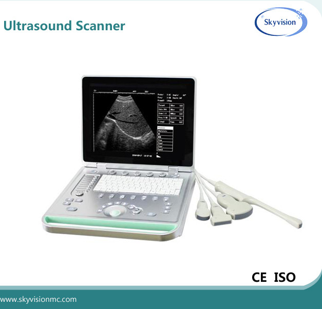 Wholesale medical animal clinic portable ultrasound scanner for pet from china suppliers
