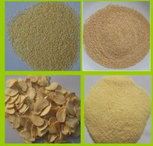 Wholesale DEHYDRATED GARLIC GRANULES 26-40MESH from china suppliers