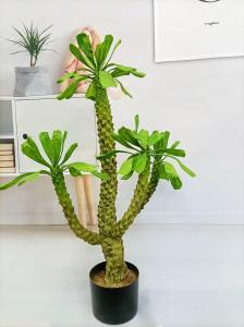 Wholesale Height 100cm Artificial Landscape Trees Pachypodium Lamerei Drake Indoor Decor from china suppliers