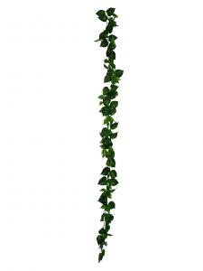 Wholesale Easy To Care Lifelike 200cm Artificial Vine Plant Plastics from china suppliers