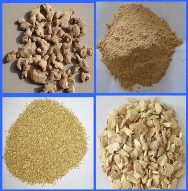 Wholesale DEHYDRATED GINGER GRANULES 16-40MESH from china suppliers