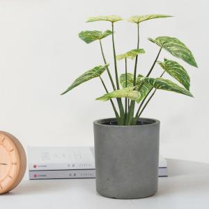 Wholesale Modern Artificial Potted Floor Plants For Home And Garden Decoration Philodendron Birkin from china suppliers