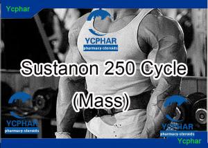 Testosterone enanthate dosage in cc