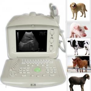 Wholesale Portable Vet Laptop Ultrasound Scanner MCV-B355P from china suppliers