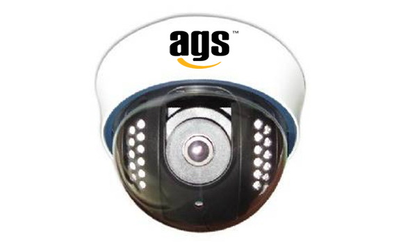 Wholesale PAL/NTSC IR Dome Camera with Night Vision Function, BLC and AGC Function, AL Casing/Strong and Beautiful,835 from china suppliers